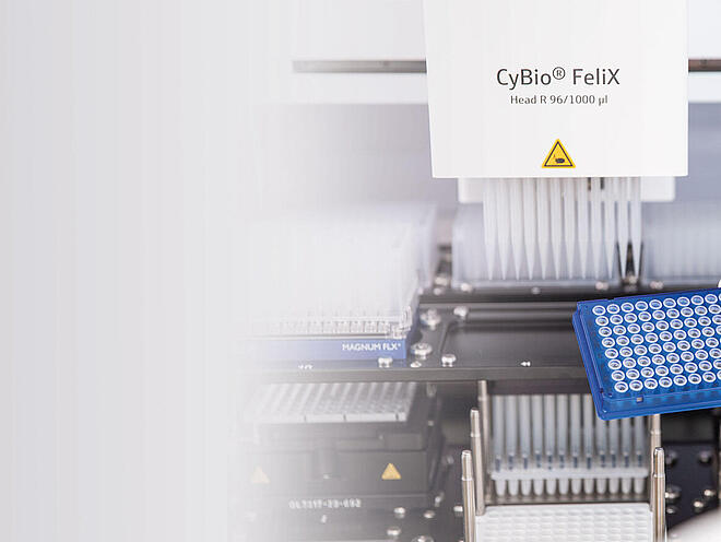 Automated Plasmid Purification-Filter Plate