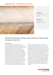 AppNote - BioSpectrum Advanced - Emission of Luciferase in Stem and Flower of Tobacco