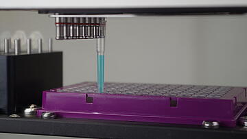 Close-up view of a single pipet tip on a CyBio Felix 8-channel, 250 micoliter head pipetting liquid into a 96-well PCR plate.