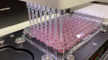 Close-up view of a CyBio Felix pipetting head dispensing and mixing master mix into 8 wells of a 96-well plate.