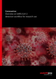 Flyer Workflow detection of SARS-CoV-2 (English)