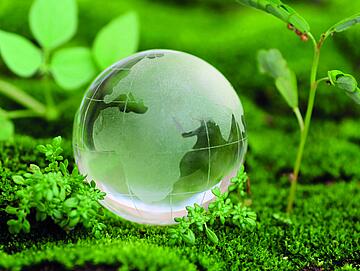 Water Drop Globe Green Water Drop Globe Green