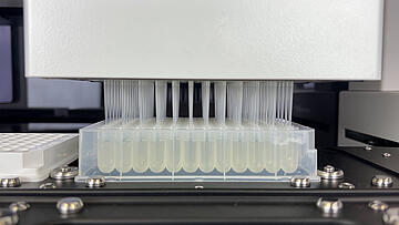 Close up of CyBio Felix 96-channel head with disposable tips pipetting into all wells of a 96-well deep-well plate.