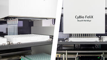 Two configurations of a CyBio Felix Head @ 96/60 microliter head; single column of tips and all 96.