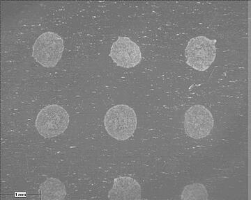 Micrograph of spotted MALDI matrix dried by gentle heat and vacuum. The actively dried spots have a round, even appearance.